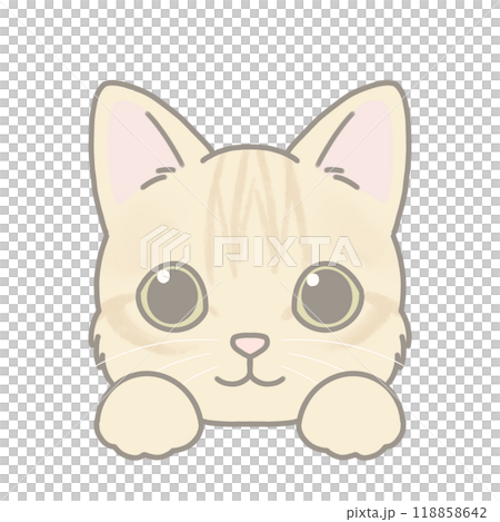 短毛種の猫のイラスト マンチカン 短毛種の猫のイラスト マンチカン 118858642