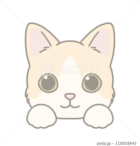 短毛種の猫のイラスト マンチカン 短毛種の猫のイラスト マンチカン 118858643