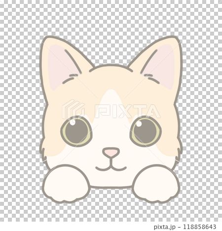 短毛種の猫のイラスト マンチカン 短毛種の猫のイラスト マンチカン 118858643