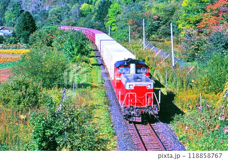 石北本線を走る貨物列車 118858767