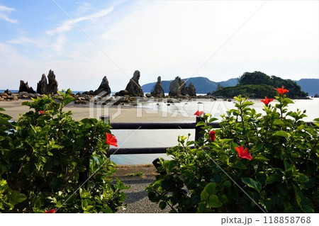 ハイビスカスと橋杭岩 118858768