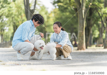 犬の散歩をする夫婦・愛犬家・飼い主・ペットシッター・家族 犬の散歩をする夫婦・愛犬家・飼い主・ペットシッター・家族 118858900
