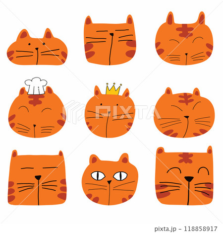 The orange cat drawing bundle set for pet or animal concept. The orange cat drawing bundle set for pet or animal concept. 118858917