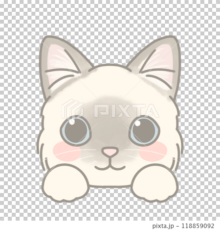ラグドールのイラスト ラグドールのイラスト 118859092