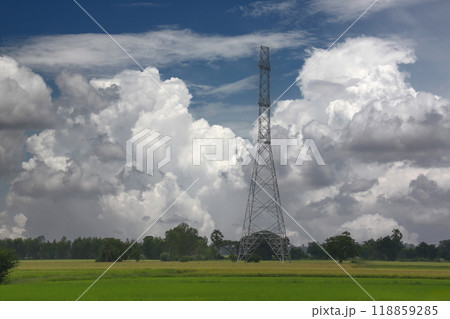High-voltage electric towers between the cities stand in rice fields, with white clouds in the sky on a clear day. 118859285