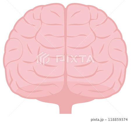脳 118859374