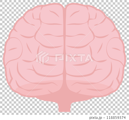 脳 118859374