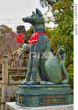 京都 伏見稲荷大社 狛狐と狛犬（京都府京都市伏見区）の写真素材