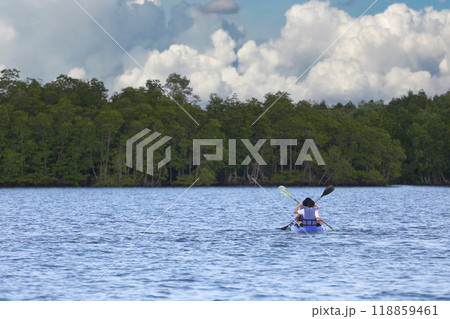 Tourists are kayaking in the middle of the sea and there are mangrove forests on the coast. 118859461