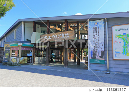 安曇野 大王わさび農場 安曇野 大王わさび農場 118861527