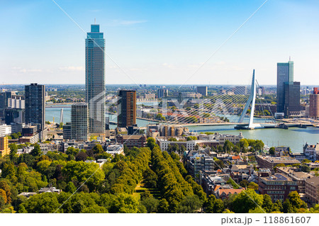 Attractive view of renowned Erasmusbrug (Swan Bridge) in Rotterdam in front of port and harbour, Netherlands 118861607