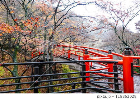 晩秋の伊香保温泉 河鹿橋の紅葉（群馬県渋川市） 118862029