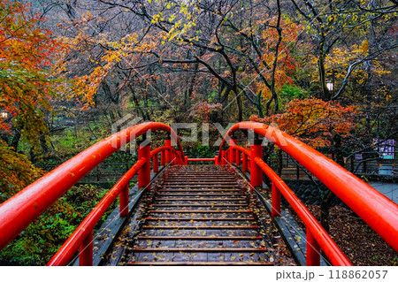 晩秋の伊香保温泉 河鹿橋の紅葉(群馬県渋川市) 晩秋の伊香保温泉 河鹿橋の紅葉(群馬県渋川市) 118862057