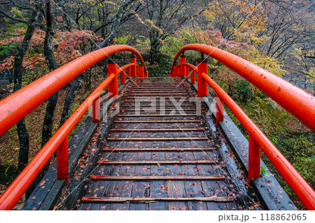 晩秋の伊香保温泉 河鹿橋の紅葉（群馬県渋川市） 118862065