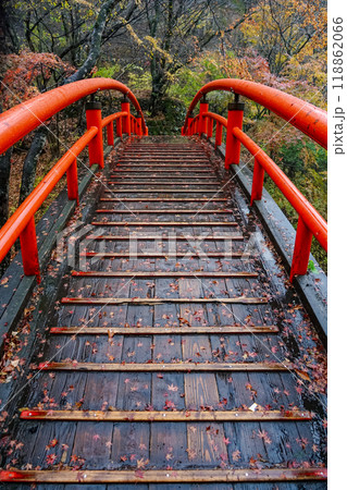 晩秋の伊香保温泉 河鹿橋の紅葉(群馬県渋川市) 晩秋の伊香保温泉 河鹿橋の紅葉(群馬県渋川市) 118862066