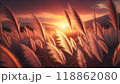 夕日に照らされる花火 118862080