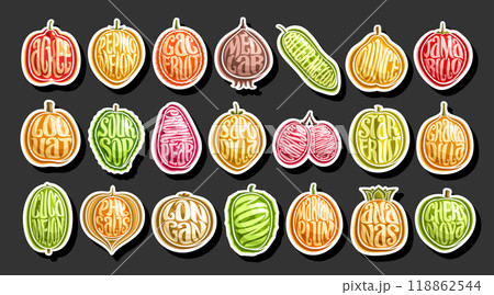Vector Exotic Fruit Set 118862544