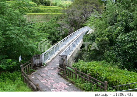 谷に掛かる橋 谷に掛かる橋 118863433