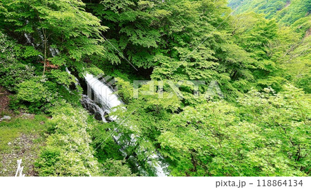 栃木県日光市の涅槃の滝 栃木県日光市の涅槃の滝 118864134