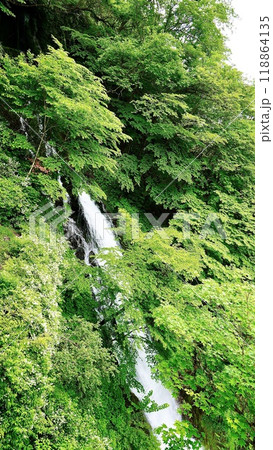 栃木県日光市の涅槃の滝 栃木県日光市の涅槃の滝 118864135