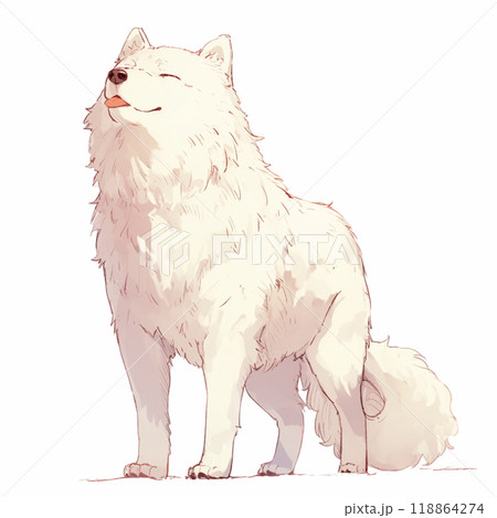 白背景と真っ白な犬 118864274
