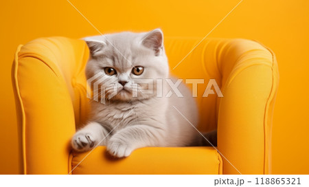 Sad kitten in a yellow chair Sad kitten in a yellow chair 118865321