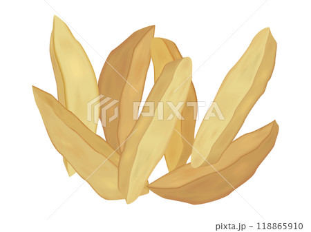 フライドポテト01 118865910