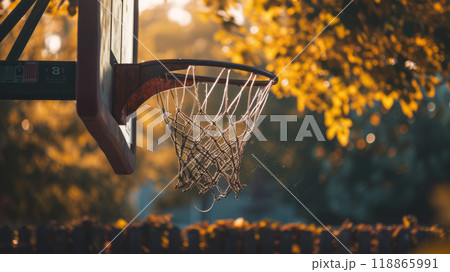 Close up of a basketball hoop 118865991
