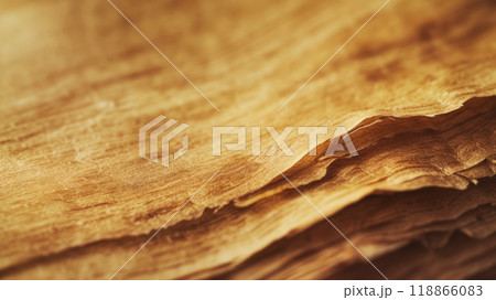 Closeup of papyrus texture. 118866083