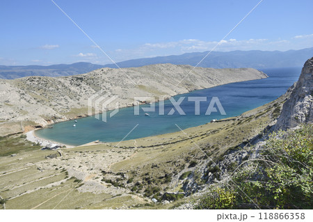 Bay Vela Luka 118866358