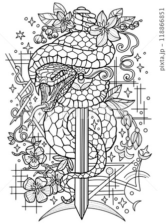 Hand drawn line art illustration with sword and snake - symbol of the year according to eastern horoscope. Graphic artwork for coloring page. Esoteric, gothic and mystic concept Hand drawn line art illustration with sword and snake - symbol of the year according to eastern horoscope. Graphic artwork for coloring page. Esoteric, gothic and mystic concept 118866851