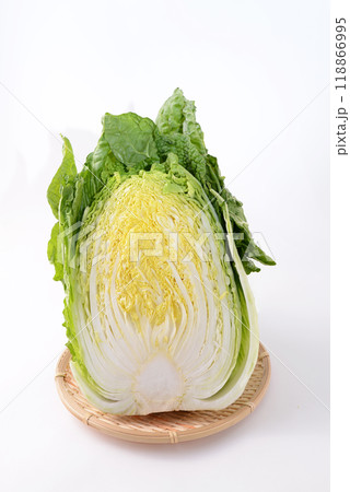 新鮮な白菜 118866995