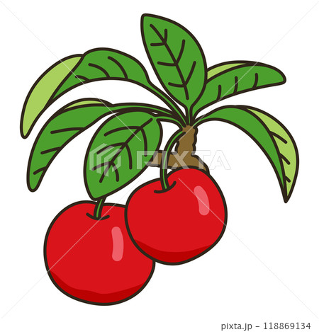 ヒメリンゴ 118869134