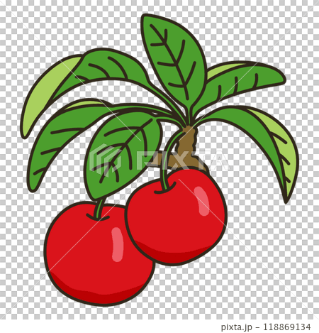 ヒメリンゴ 118869134