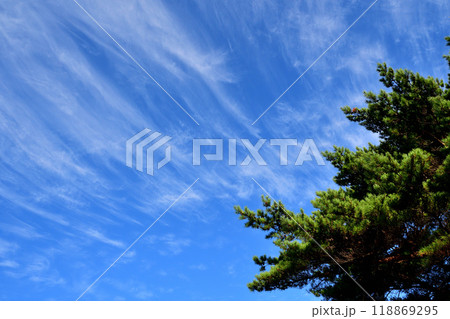 青空と白い雲、秋の雲 118869295