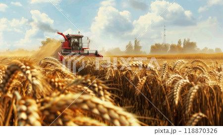 Wheat harvesting in a vast sunset field 118870326