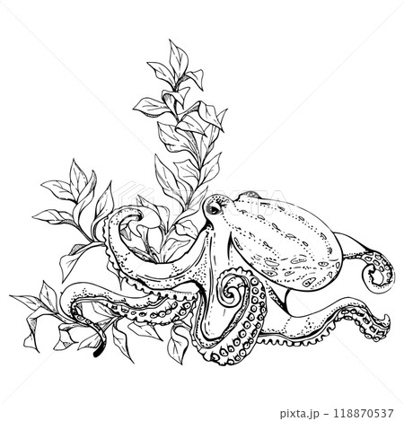 Marine life, sea ocean underwater creatures fish, shells algae seaweed, Ink and pen sketch hand drawn. Composition illustration, stylized, isolated on white. For zoo shop, aquarium, cosmetics, resort 118870537