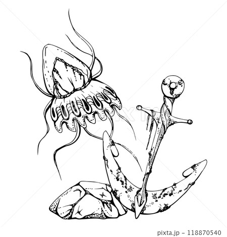 Jellyfish medusa with anchor, Marine life, sea ocean underwater creatures animal, Ink and pen sketch hand drawn. Composition illustration, stylized isolated on white. Shop, aquarium, cosmetics, resort 118870540