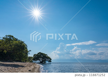 夏の琵琶湖東岸の情景 118871252