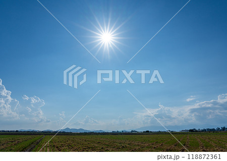 早生品種の収穫を終えた湖東地方の水田地帯 118872361