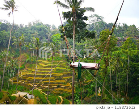 バリ島のウブドのライステラスにあるブランコ 118872612