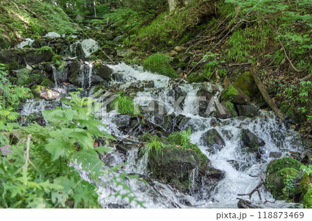 【たんばら 強清水の滝】 【たんばら 強清水の滝】 118873469