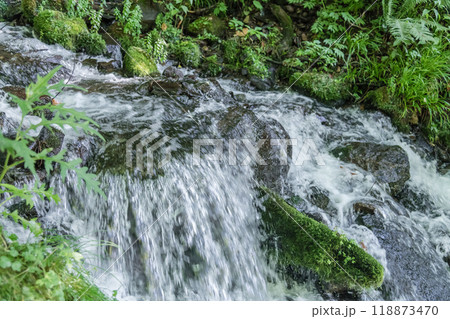 【たんばら　強清水の滝】 118873470