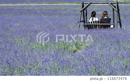【ラベンダー畑　女性とぶらんこ】 118873478