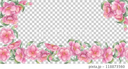 Pink camellia japonica flowers banner. Botanical watercolor clipart. This elegant floral design is suitable for creating wedding invitations, posters, and website embellishments Pink camellia japonica flowers banner. Botanical watercolor clipart. This elegant floral design is suitable for creating wedding invitations, posters, and website embellishments 118873560