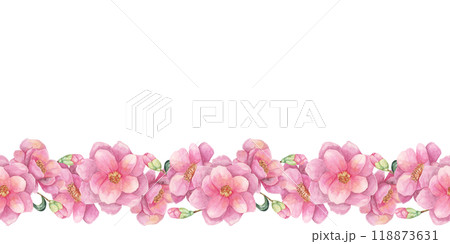 Pink camellia japonica flowers in a horizontal seamless border on the watercolor clipart. The soft and natural floral pattern is ideal for wedding invitations, greeting cards, and printable designs 118873631