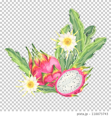 Pitahaya watercolor clipart featuring a whole fruit with green cactus leaves, along with delicate yellow flowers. Ideal for food-related designs, digital art, and botanical illustrations Pitahaya watercolor clipart featuring a whole fruit with green cactus leaves, along with delicate yellow flowers. Ideal for food-related designs, digital art, and botanical illustrations 118873743