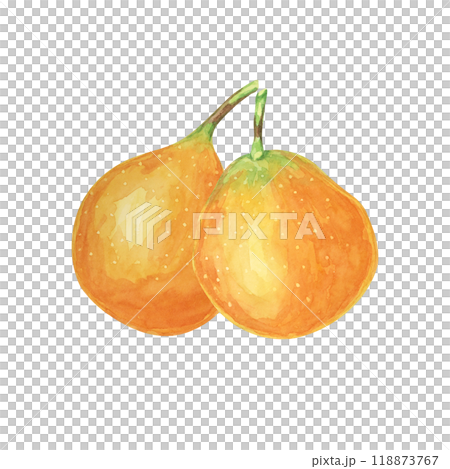 Sweet granadilla watercolor with two vibrant orange fruits. Ideal for use in digital designs, invitations and food-related merchandise, this clipart shows detailed green leaves and realistic textures Sweet granadilla watercolor with two vibrant orange fruits. Ideal for use in digital designs, invitations and food-related merchandise, this clipart shows detailed green leaves and realistic textures 118873767