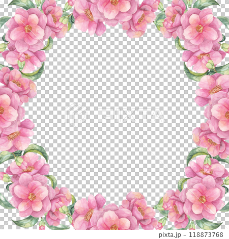 Pink camellia watercolor clipart displaying an oval floral frame with lush blooms. Hand drawn Illustration Suitable for designing event invitations, personalized stationery, and wall art Pink camellia watercolor clipart displaying an oval floral frame with lush blooms. Hand drawn Illustration Suitable for designing event invitations, personalized stationery, and wall art 118873768