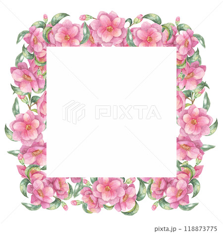 Camellia japonica watercolor clipart showcasing lush pink flowers surrounding a white square frame. This beautiful design is perfect for creating elegant cards, digital artwork, and personalized gifts 118873775